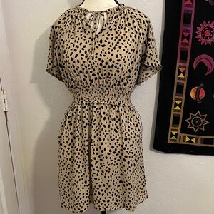 Vanilla Bay Spotted Black and Tan Mini Dress